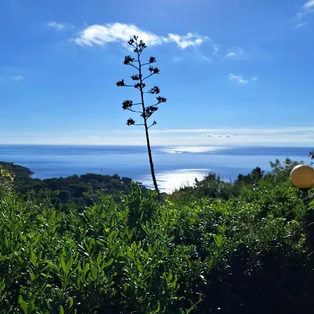 Appartement Arlecchino Capoliveri (Isola d'Elba)